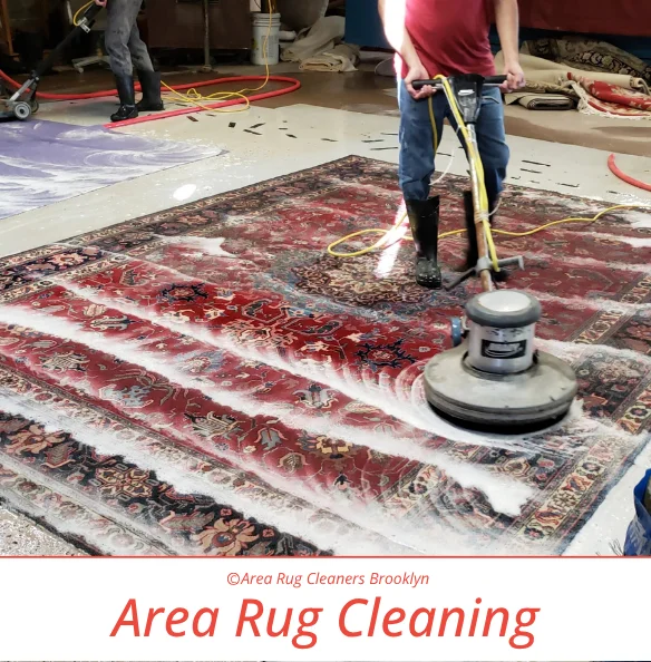 Rug Cleaning